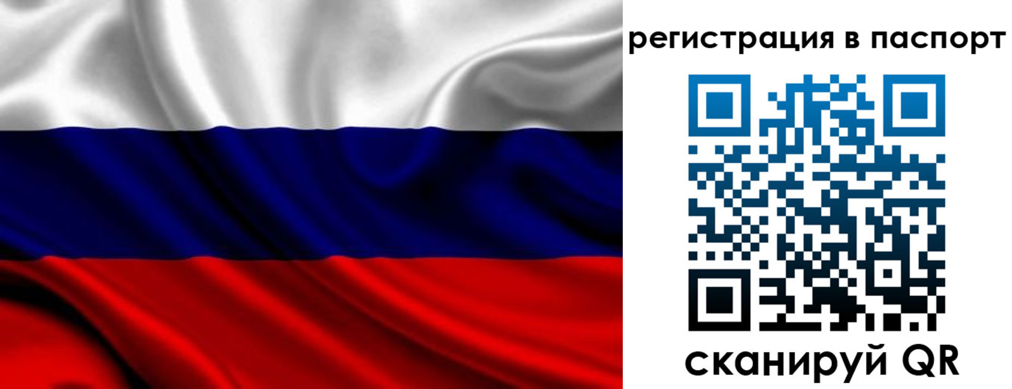 прописка для школы в Далматово